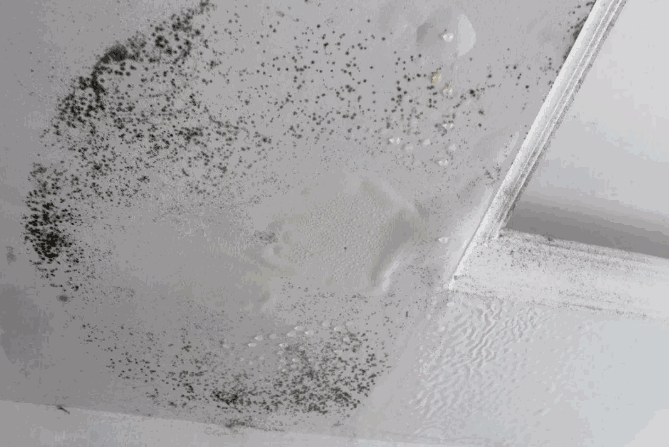 瓦斯爆炸,先關閥門?看防水專家這么說 防水,防水涂料,防水材料,朗凱奇防水,防水堵漏,防漏滲水